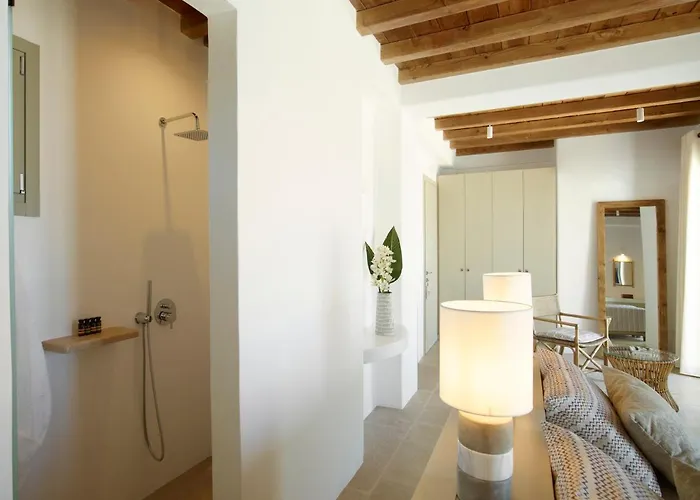 Absolute Paradise Tourlos Villa Mykonos Town